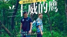 探索颜值和高跟鞋是女性职场吧必备吗?,解决你的疑惑
