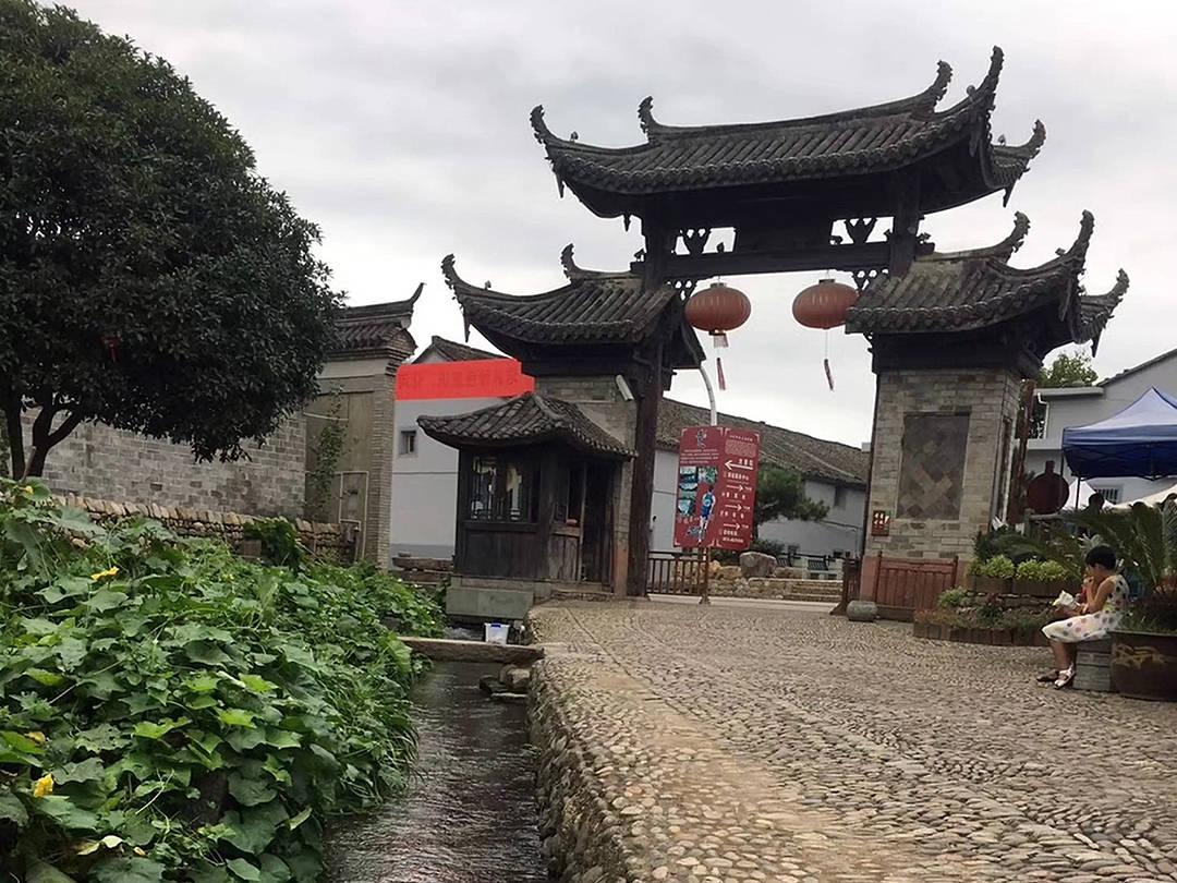 动物帮帮忙保卫家园